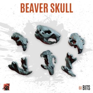 Beaver skull - Pack of 6 bits