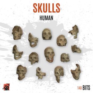 Skulls - Human - Pack of 14 bits