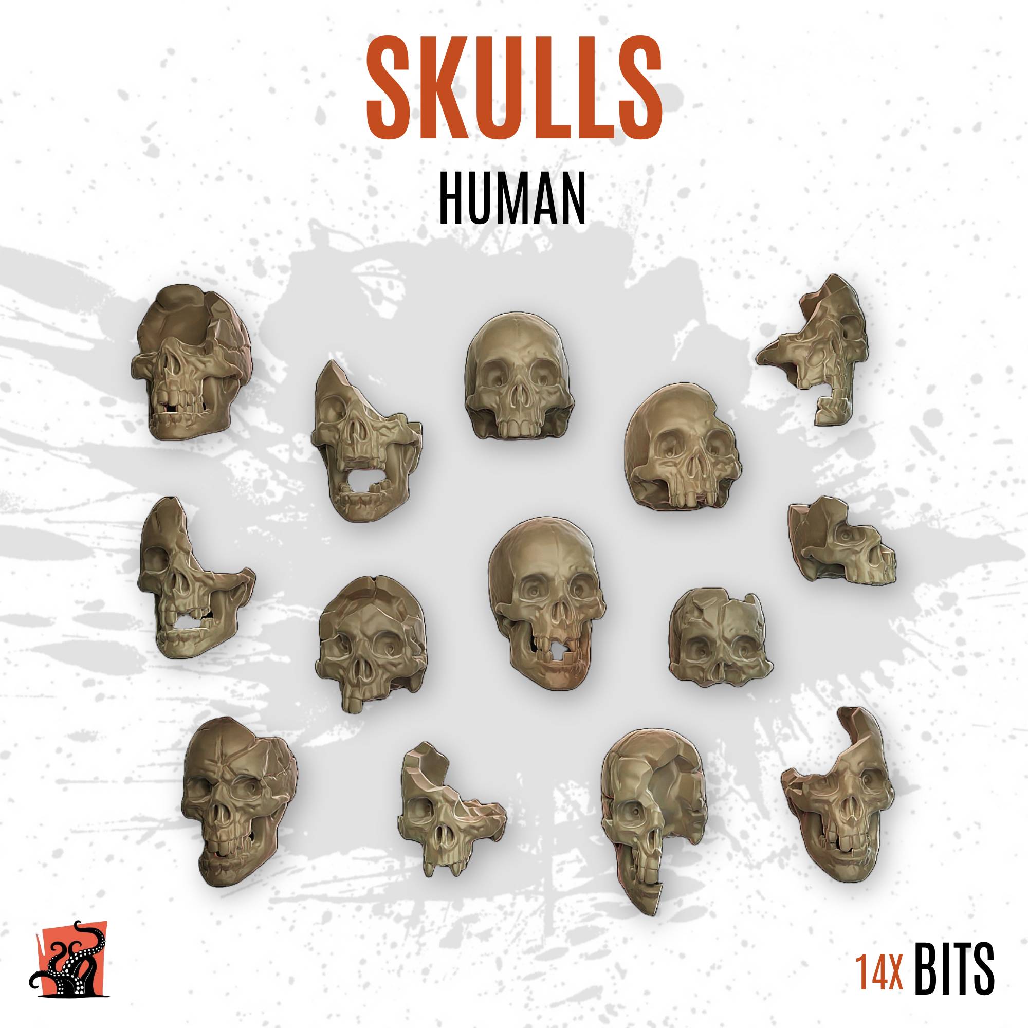 Skulls - Human - Pack of 14 bits