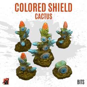 Colored shield cactus - Pack of 5 bits